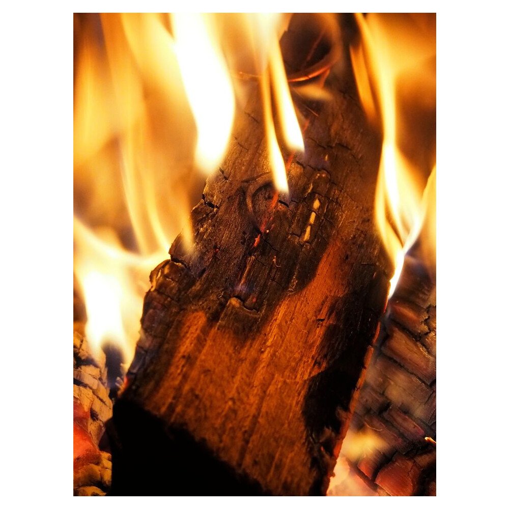Brennholz Kaminholz Feuerholz Buche 500kg auf Palette / 25cm ofenfertig gesägt gespalten getrocknet (firewood beech / bois de chauffage hêtre) HOLZBRX – Bild 5